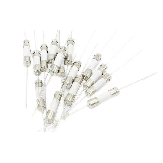 16A 250V Ceramic Fuse - Reliable Slow-Blow Protection for Electrical Systems