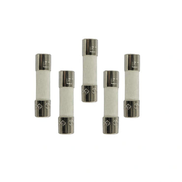 T10AH250V Cartridge Ceramic Fuse 5x20mm 10A 250V for PSU